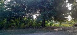  Venta de Solar Residencial en Las Antillas Santiago