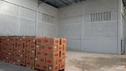 Nave en Alquiler Prolongación 27 De Febrero Manoguayabo