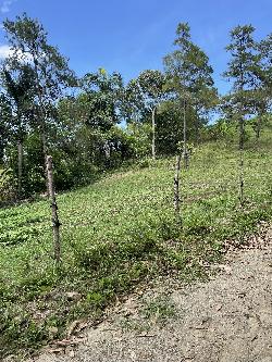 SOLARES EN JARABACOA HATO VIEJO EN ALTURA CON VISTAS