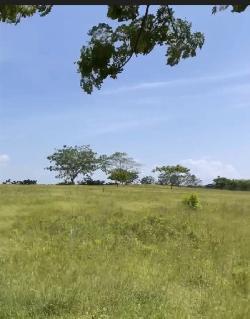Venta de Solar ubicado en Boca Chica 