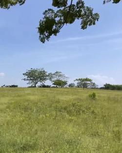Venta de Solar ubicado en Boca Chica 