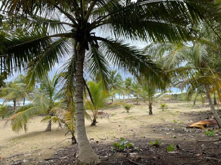  VENTA SOLAR PLAYA BOCA DE YASICA GASPAR HERNANDEZ 