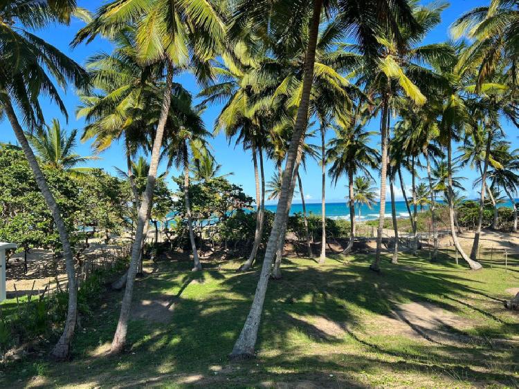  VENTA SOLAR PLAYA BOCA DE YASICA GASPAR HERNANDEZ 