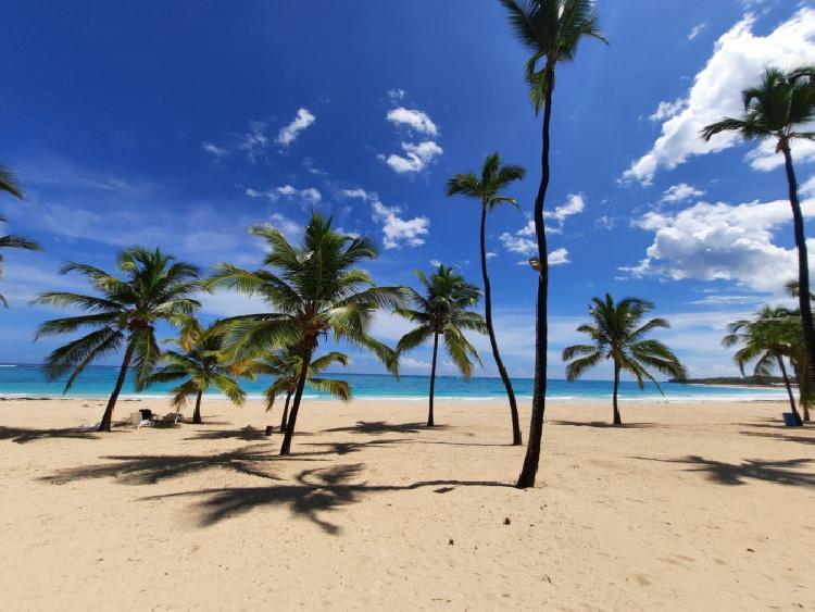 Venta de Apartamentos con Línea Blanca en Punta Cana