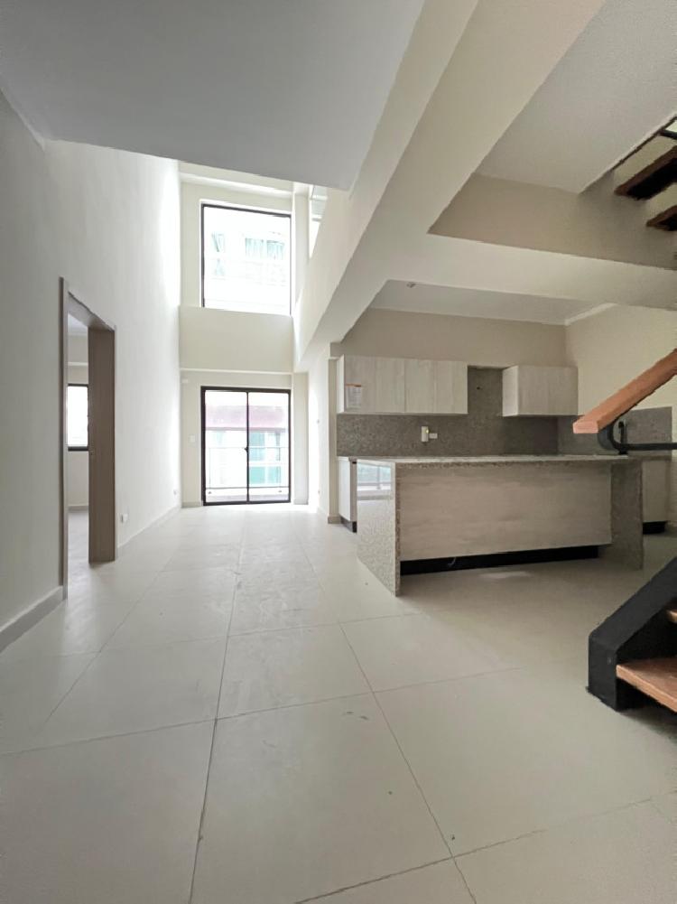 Apartamento Tipo Loft en venta  en Evaristo Morarles.