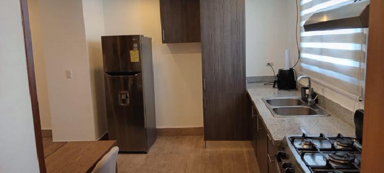 Apartamento Amueblado En Venta en el NACO