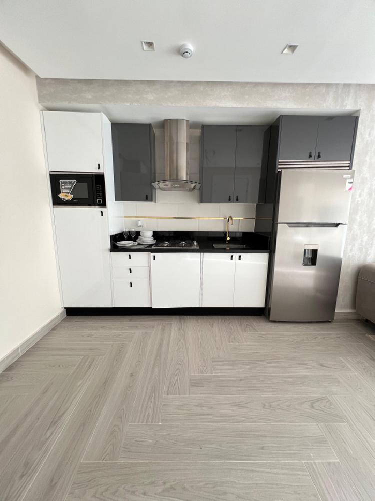 Apartamento de 1 habitacion en Venta y renta en naco