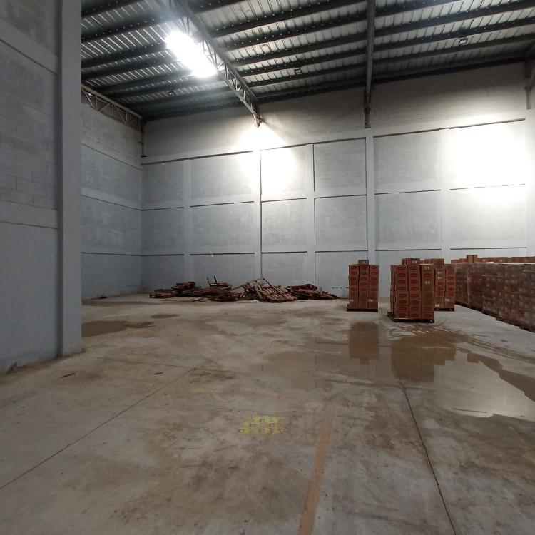 Nave en Alquiler Prolongación 27 De Febrero Manoguayabo