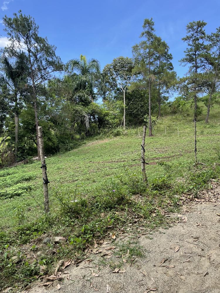 SOLARES EN JARABACOA HATO VIEJO EN ALTURA CON VISTAS