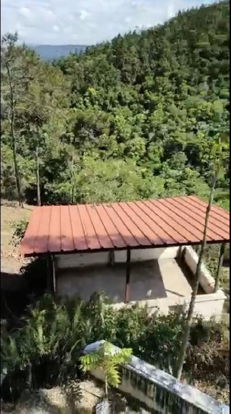 Venta de de finca  en la Vega republica Dominicana 