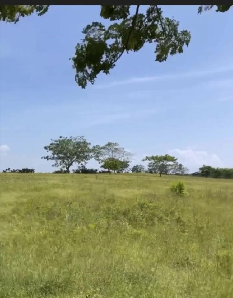 Venta de Solar ubicado en Boca Chica 