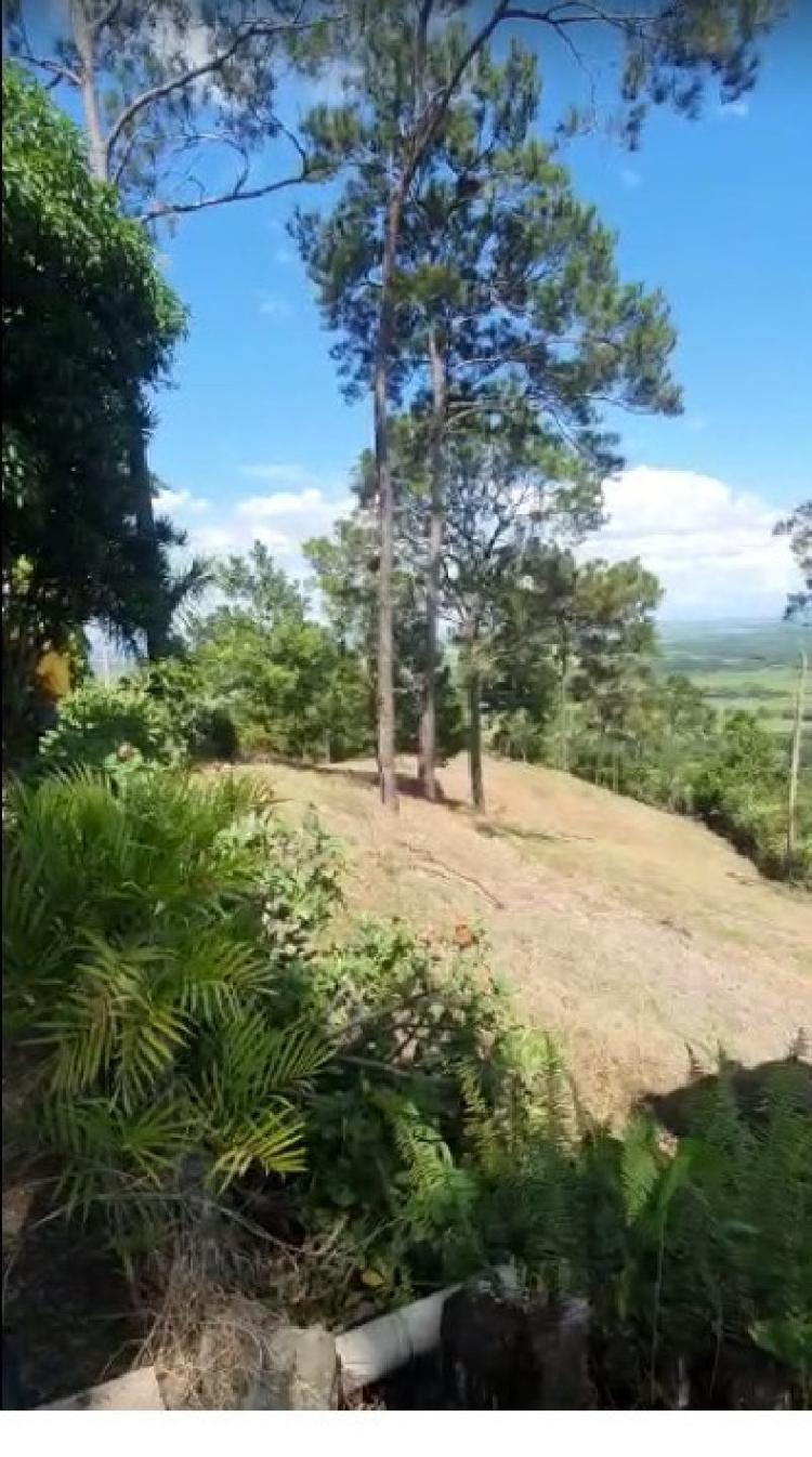 Venta de de finca  en la Vega republica Dominicana 