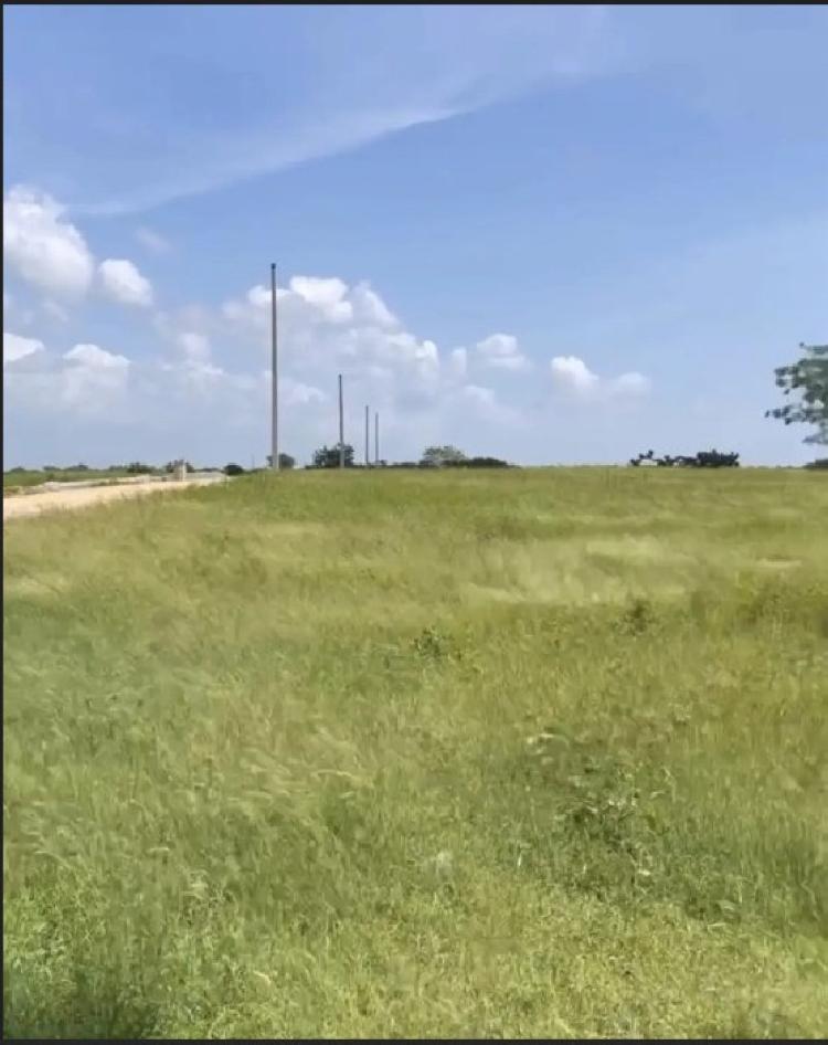 Venta de Solar ubicado en Boca Chica 